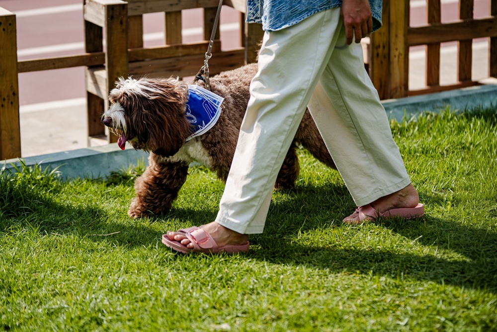 BIRKENSTOCK จัดกิจกรรม WALK CLUB ครั้งที่ 2 ภายใต้ธีม WAG & WANDER สะท้อนเจตนารมณ์ของแบรนด์ที่สนับสนุนทุกการก้าวเดิน