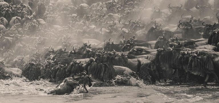 เอปสันเปิดเวทีประกวดภาพถ่ายพาโนรามาระดับโลก “Epson International Pano Awards” ครั้งที่ 17 ชิงรางวัลรวมกว่า 50,000 ดอลลาร์สหรัฐ